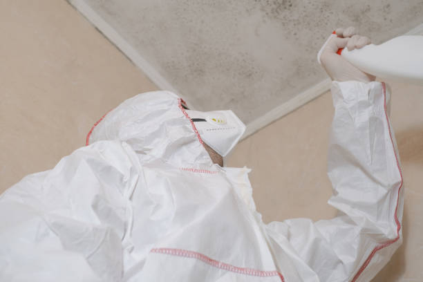 Best Crawl Space Mold Remediation in Marfa, TX